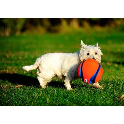 Chuckit Kick Fetch