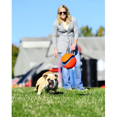 Chuckit Kick Fetch