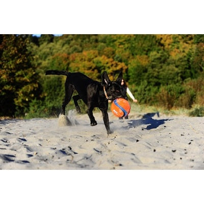Chuckit Kick Fetch