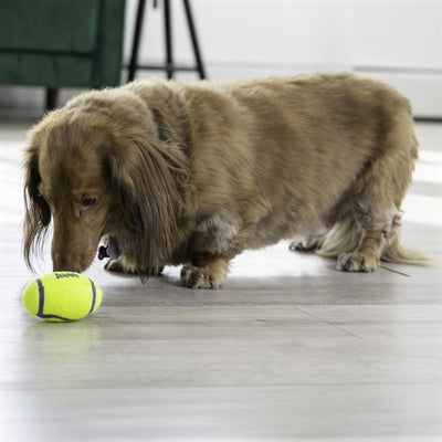 Kong Airdog Football Geel