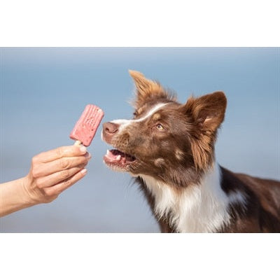 Trixie Ice Pop Roze