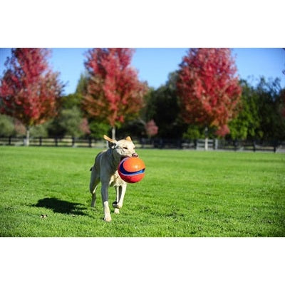 Chuckit Kick Fetch