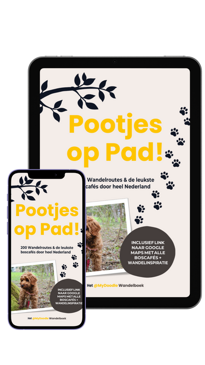 🐾 Pootjes op Pad! – Digitale E-Book Editie