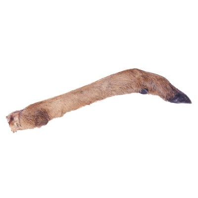 Petsnack Reeenpoot Met Haar