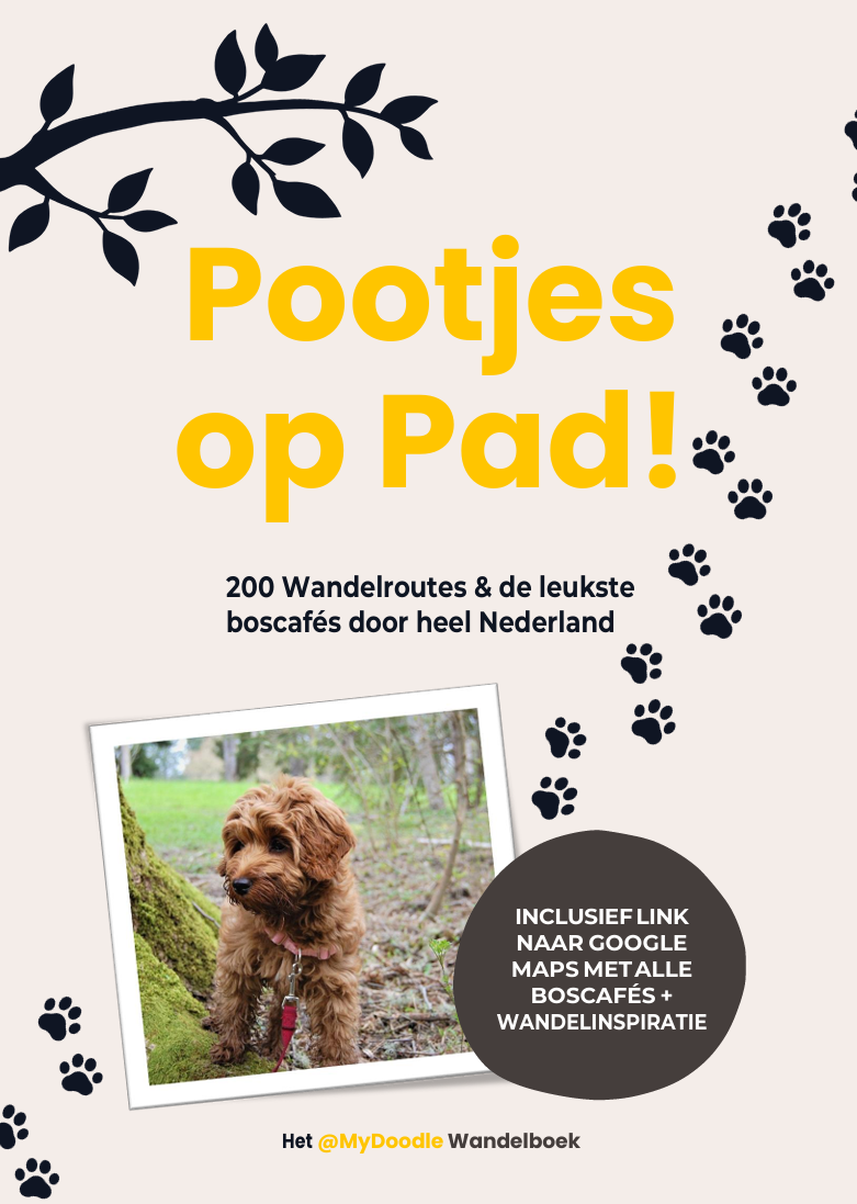 Pootjes op Pad! - Het MyDoodle wandelboek